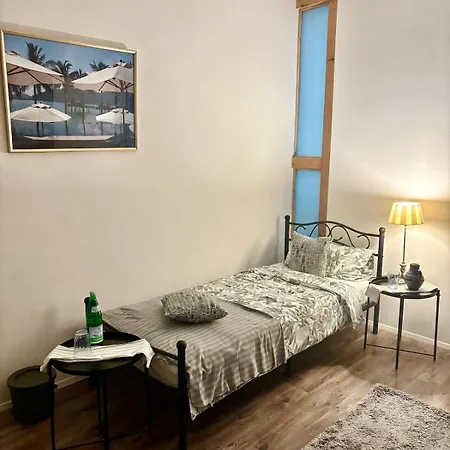 Roystein Gaestehaus Apartment Wiesbaden