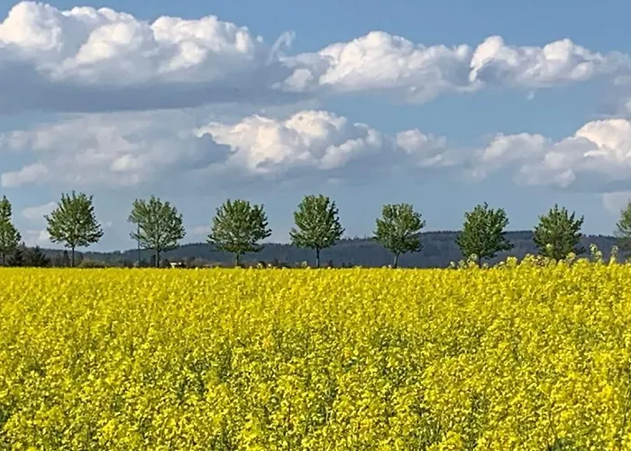 Roystein Gaestehaus Apartment Wiesbaden