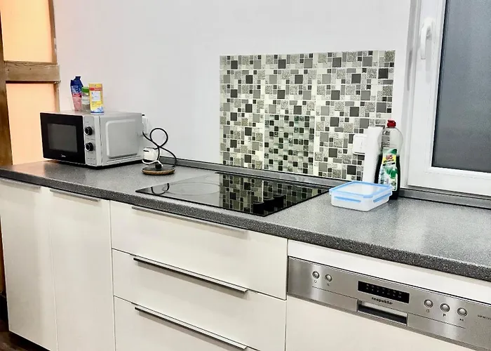 Roystein Gaestehaus Apartment